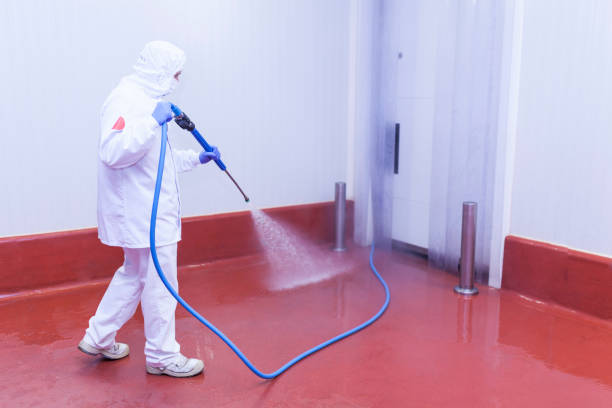 Professional Pressure Washing in Brownville, NJ